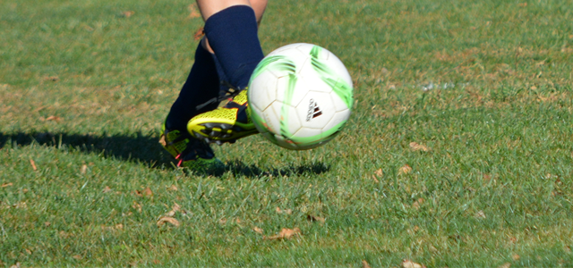 Interested in Coaching? 